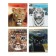 Notebook of 48 sheets in the Calligrata "Wild Cats" line, cover covered paper, block No. 2, mix