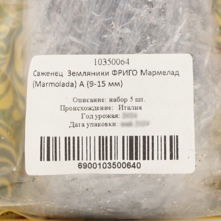 Strawberry seedlings of Frigi Marmelada (9-15 mm), 5 pcs-3