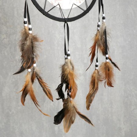 Dreams 4 "Gray Wolf" Circle d = 20 cm-3