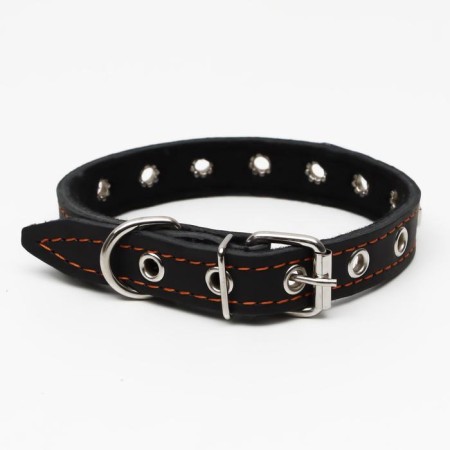 The leather collar on synthetic winterizer is decorated, dimensionless, 47 x 2 cm, Osh 28-39 cm, black-1