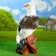Garden figure "Eagle" color, 64x32x32cm