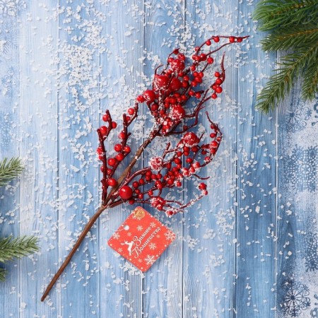 Decor "Winter charm" frozen berries, 25 cm-2