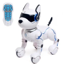 Robot dog 