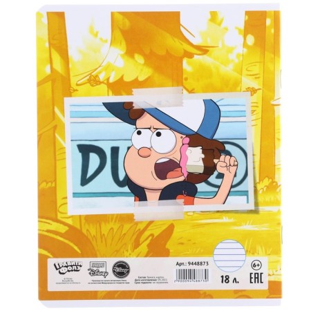 Notebook in a line of 18 sheets, 5 types of mix, cover coated cardboard, gravity farz-11