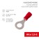 Tip of Ring isolated Rexant, Ø6.5mm 0.5-1.5mm² (NKI1.5-6/NKI1,25-6), red