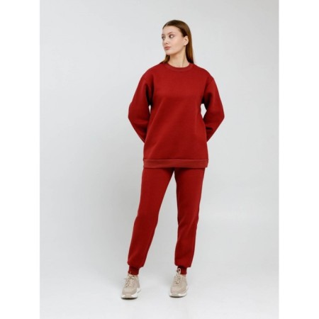 Women's sweated sweatshirt, size 46, burgundy color-9