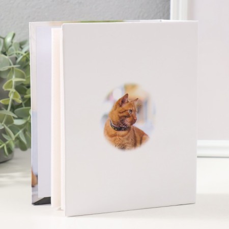 Photo album for 100 photos "cat-4, red cat" 10x15 cm-1