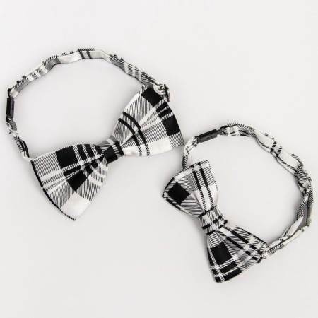 A tie - a butterfly for a boy and dad “Set for a photo shoot”, 2 pcs., Gray color, M&B-2