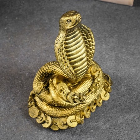 Figure "Cobra on money" gold, 26x16x10cm-4