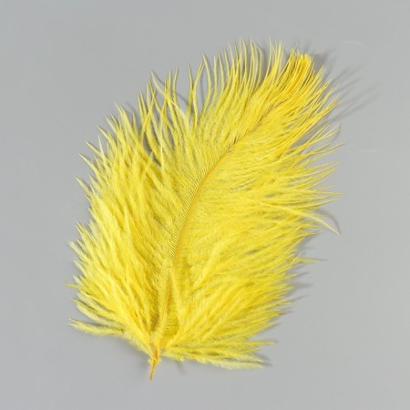 Feather of ostrich 15-20 cm, yellow-2
