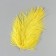 Feather of ostrich 15-20 cm, yellow