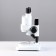 Laboratory compact microscope, multiplicity 10, backlight