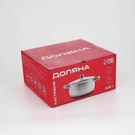 Grette stainless steel pan, 4.2 l, d = 22 cm, with a lid, the capsule, induction-7