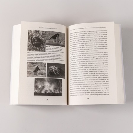 Seekers of patterns. How autism contributes to human ingenuity. Baron-Cohen S.-6