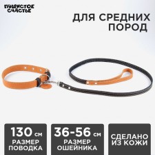 Set: collar (36-56x2.5 cm) and leash (130x1.5 cm), beige and black color