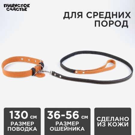 Set: collar (36-56x2.5 cm) and leash (130x1.5 cm), beige and black color