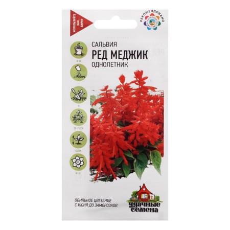 Salvia seeds "Red Medzhik", 0.05 g