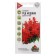 Salvia seeds "Red Medzhik", 0.05 g