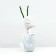 Sahenian Rosa Schrab (Kustovaya) Golden Zest, 1 pc, spring 2024