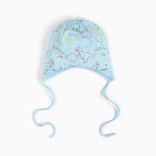 A cap for a boy, the color of the blue/dinosaurs, size 46-48