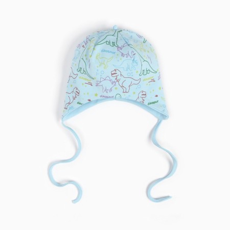 A cap for a boy, the color of the blue/dinosaurs, size 46-48