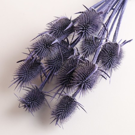 Set of dried flowers "Brush", banch 7-8 pcs, length 50 (+/- 6 cm), purple-2