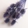 Set of dried flowers "Brush", banch 7-8 pcs, length 50 (+/- 6 cm), purple