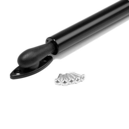 GARS ELEDRA GG100BL, 100N, with a closer, black color-6