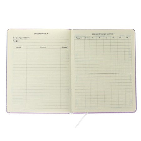 Universal diary for grade 1-11 Inspire, hard cover, artificial leather, foam rubber, lies, 80 g/m2-5