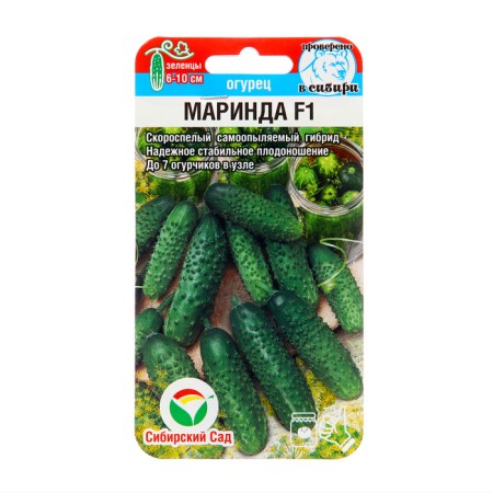 Seeds Cucumber Marinda F1, parthenocarpic, 7 pcs