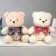 Soft toy "Bear", 26 cm, Mix colors