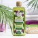 Herbal Therapy shampoo Salufantic against falling out, 400 ml