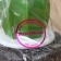Cactus shade brush for washing dishes, metal sponge, d = 8 cm