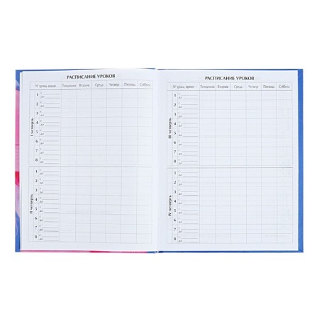 Diary for grades 5-11 "Shine!", Firm cover, glossy lamination, 48 sheets-5