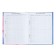 Diary for grades 5-11 "Shine!", Firm cover, glossy lamination, 48 sheets