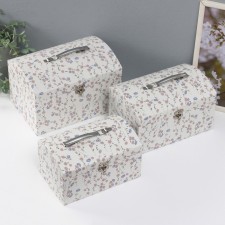 Cardboard Cardboard chest 