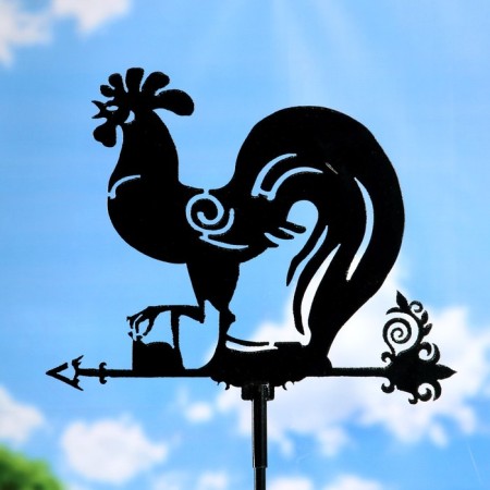 Waller "Rooster" Big 50*60 cm-1