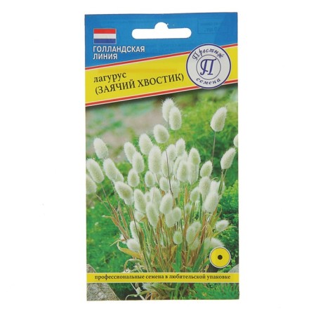 Flower seeds Lagurus (hare tail), o, 10 pcs-2
