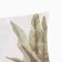 Pillowcase decorative Ethel "Tropical Garden" 45x45cm, Polyester, velor