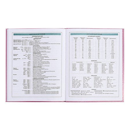 Diary for grades 5-11 Technoboom No. 3, integral cover, glossy lamination, 48 sheets, block 70 g/m2-14