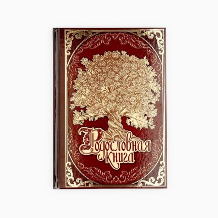 The genealogy book "Family Chronicle" in a box with a tree, 20 x 26 cm-5