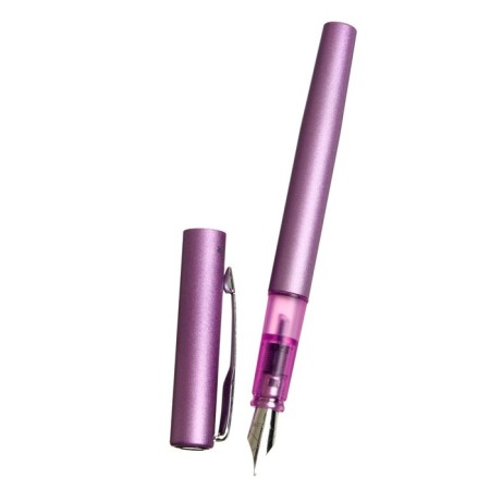 Fright pen Parker Vector XL F21, lilac metal, feather F, stainless steel, gift box.-2