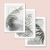 A set of interior posters (posters) 30x40 cm, 3 pcs, 250 g/m2, 6-009,