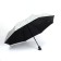 Automatic umbrella "Summer Fruit", windproof, 3 additions, 8 spokes, r = 48 cm, color mix