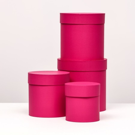 A set of hats 4 in 1 "Raspberry", 20 × 20 –13 × 13 cm-1
