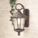 Elektrostandard Lamp Garden-Park, 60 W, E27, IP44, Wall, Virgo D Kapuchino