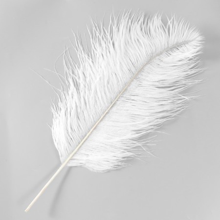Perum Premium Perum 40-45 cm, white-2
