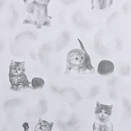 Kitteen paper wallpaper 255-01, 0.53x10.05m, gray-1