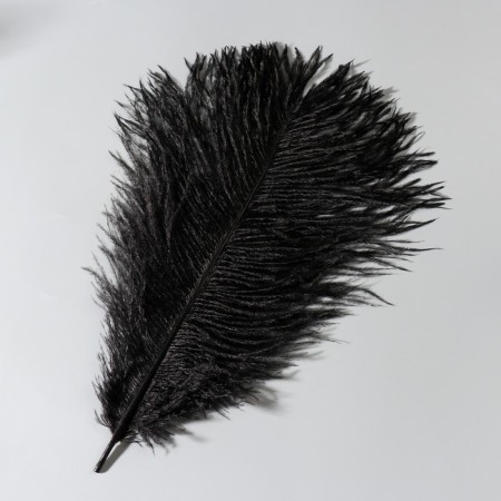 Feather of ostrich 30-35 cm, black-1