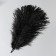 Feather of ostrich 30-35 cm, black
